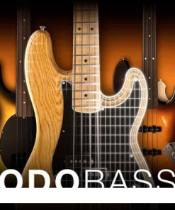 IK Multimedia - MODO BASS 2 v2.0.2 - Full Version