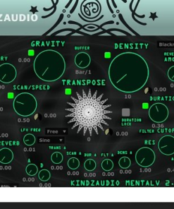 kindzaudio - MentalV 2 2.22 - Full Version