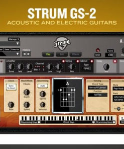 Applied Acoustics Systems - STRUM GS-2 v2.4.4 - Full Version