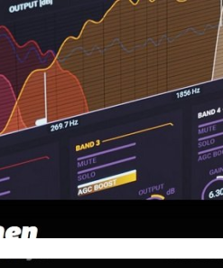 United Plugins & Soundevice Digital - Plamen v1.1 - Full Version