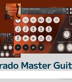 David Forner - El Dorado Master Guitars - Full Version