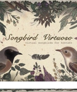 Loops de la Creme - Songbird Virtuoso (+Update 06.2022)  - Full Version