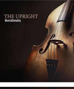 Musical Sampling - The Upright  - Full Version