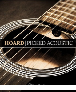Musical Sampling - Hoard Picked Acoustic 1.1.0  - Full Version