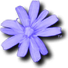 C64 Forever Plus Edition 10.3.3 - Full Version