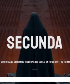 Wavelet Audio - Secunda  - Full Version