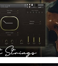 Realitone - Sunset Strings v1.1  - Full Version