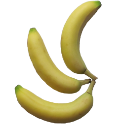 CodexBanana 2.0.5 - Full Version