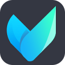Vidmore Video Converter 1.3.36 - Full Version