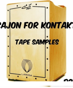 Past to Future Reverbs - P2F Cajon  - Full Version
