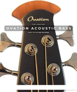 Past to Future Reverbs - Ovation Acoustic Bass  - Full Version