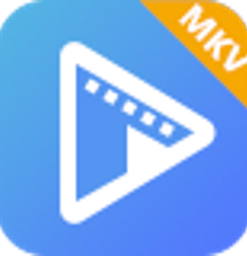 AVAide MKV Converter 1.0.16 - Full Version