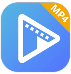 AVAide MP4 Converter 1.0.16 - Full Version