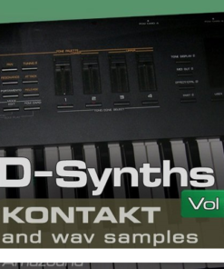 Amazound - D-Synths Vol. 2  - Full Version