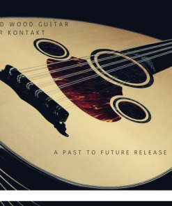 Past to Future Reverbs - Oud Wood Guitar  - Full Version