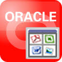 Withdata OraLobEditor 4.6 Release 1 Build 200630 - Full Version