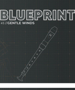 Fracture Sounds - Blueprint Gentle Winds  - Full Version
