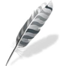 Wing IDE Pro 10.0.6 - Full Version