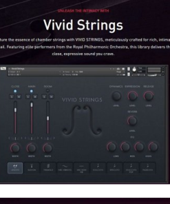 Pulse Audio - Vivid Strings Basses - Full Version