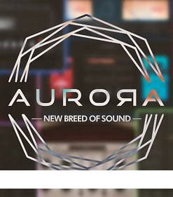 Aurora DSP - Everything Bundle v2024.11 - Full Version