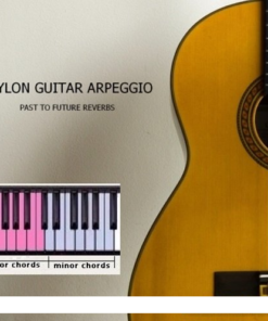 Past to Future Reverbs - Nylon Guitar Arpeggio - Full Version