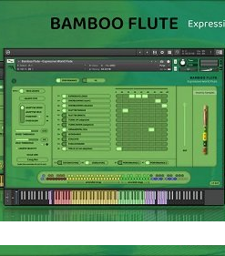 Insanity Samples - Bamboo Flute Expressive World Flute - Full Version