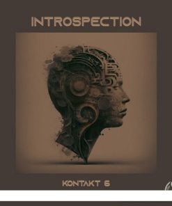 Triple Spiral Audio - Introspection 1.1.0 - Full Version