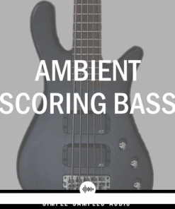 Simple Samples Audio - Ambient Scoring Bass 1.1.0 - Full Version