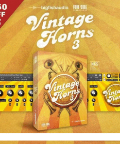 Big Fish Audio - Vintage Horns 3 - Full Version
