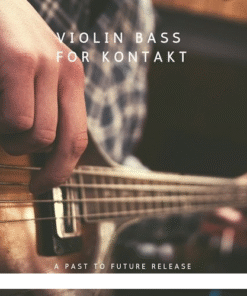 Past to Future Reverbs - Violin Bass - Full Version