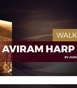 Aviram Dayan Production - Aviram Harp Guitar 1.2.0 - Full Version