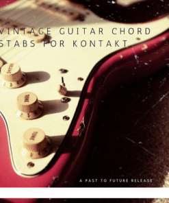 Past to Future Reverbs - Vintage Guitar Chord Stabs - Full Version