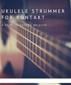 Past to Future Reverbs - Ukulele Strummer - Full Version