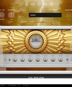 Neural DSP - Archetype Rabea X v1.0.1 - Full Version