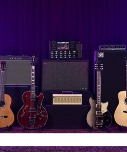 Yamaha Guitar Group - Plugins 2026 - Full Version